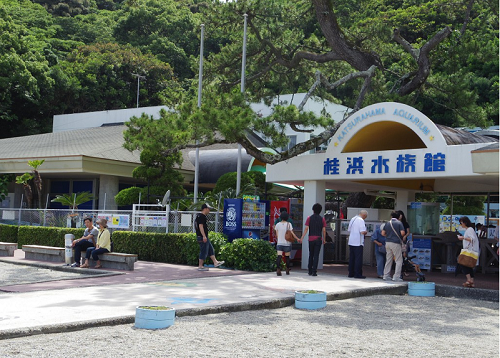 16桂浜水族館.JPG