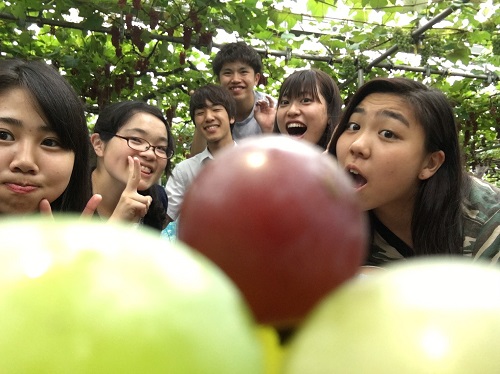 11観光果樹園.JPG