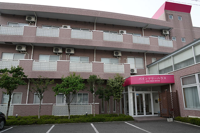 パインツリーハウス